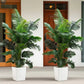 35-inch artificial giant palm tree plant; 2 pieces indoor/outdoor