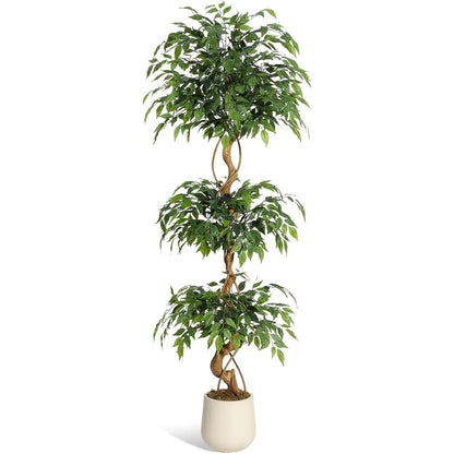 Artificial Ficus Tree with Curved Trunk