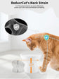 Elevated Cat Food and Water Bowls Set, Extra Wide Raised Ceramic Bowls,Whisker-Free Feeder for Cats and Small Dogs
