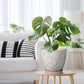 8 Inch White Ceramic Planter with Drainage Hole and Saucer for Indoor Outdoor Plants