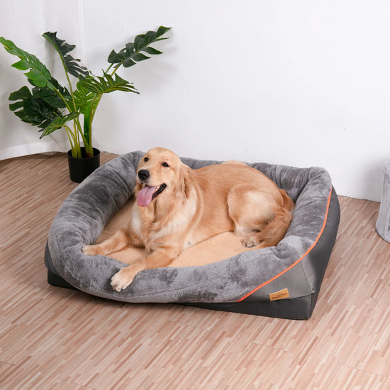 Jumbo Large Orthopedic Dog Bed Memory Foam