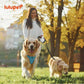 No-Pull Dog Harness Leash Collar Set, Adjustable Reflective Vest Comfortable Handle Blue Large