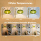 Modern Dimmable Floor Lamp, Mid Century Green Glass with Remote