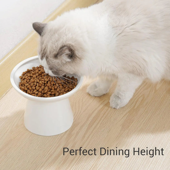 Wide Elevated Ceramic Cat Bowl for Whisker Fatigue Relief, Easy Feeding,