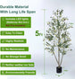 5FT Artificial Olive Tree with Planter, Moss & Lights