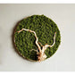 Preserved Reindeer Moss Natural Green