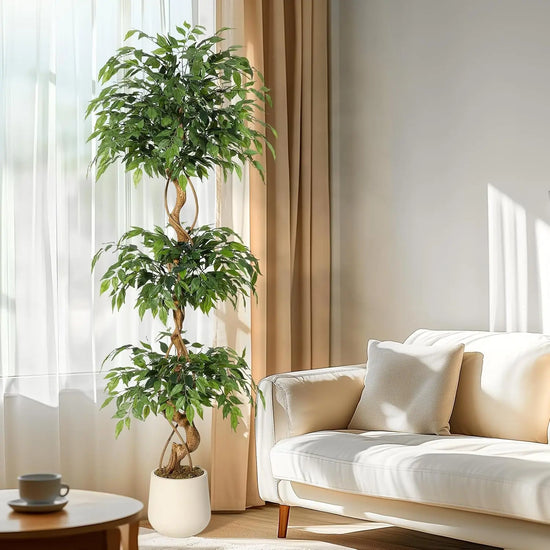 Artificial Ficus Tree with Curved Trunk