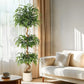 Artificial Ficus Tree with Curved Trunk