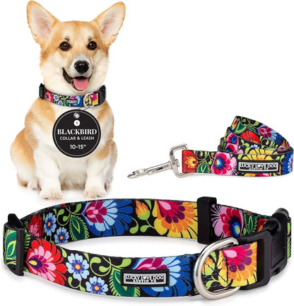 Easy Click Buckle Dog Collar with Leash Set, Durable Comfortable for All Sizes, Secure Fit