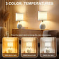 18.5" Table Lamps Set of 2