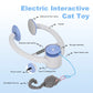Electric Door Hanging Cat Toy USB Rechargeable Self Play Retractable