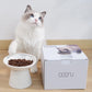Wide Elevated Ceramic Cat Bowl for Whisker Fatigue Relief, Easy Feeding,