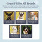 Easy Click Buckle Dog Collar with Leash Set, Durable Comfortable for All Sizes, Secure Fit