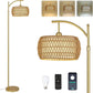 Arc Floor Lamp, LED Gold Standing Lamp with Remote, 3 Color Temps & Dimming,