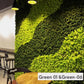 Preserved Reindeer Moss Natural Green