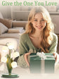 Green Flower Lamp, 3-Color Mode Table Lamp
