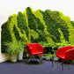 Preserved Reindeer Moss Natural Green
