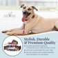 Easy Click Buckle Dog Collar with Leash Set, Durable Comfortable for All Sizes, Secure Fit