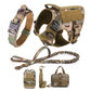 Large Dog Harness And Leash Set For Medium Large Dogs