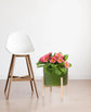 10 Inch Ceramic Plant Pot with Wood Stand,