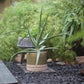 8 Inch Ceramic Planter with Drainage Hole & Saucer, Indoor Outdoor Round Pot in Green Beige