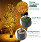 5FT Artificial Olive Tree with Planter, Moss & Lights