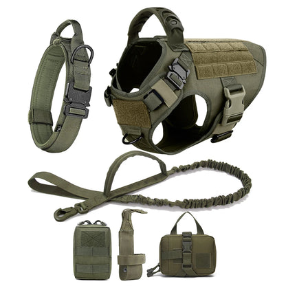 Large Dog Harness And Leash Set For Medium Large Dogs