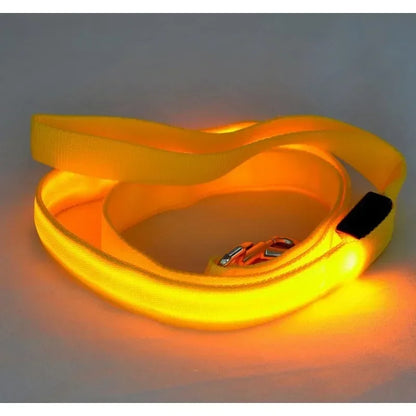 Flashing Leash Light