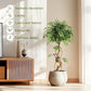 Artificial Ficus Tree with Curved Trunk