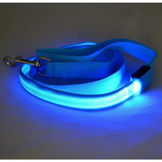 Flashing Leash Light