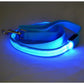 Flashing Leash Light