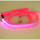 Flashing Leash Light