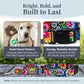 Easy Click Buckle Dog Collar with Leash Set, Durable Comfortable for All Sizes, Secure Fit