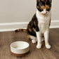 Small Ceramic Pet Bowl, 11oz Food/Water