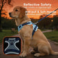 No-Pull Dog Harness Leash Collar Set, Adjustable Reflective Vest Comfortable Handle Blue Large