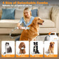 Professional Pet Grooming Kit with Vacuum, Low Noise Deshedding Tools for Dogs & Cats,