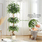 Artificial Ficus Tree with Curved Trunk