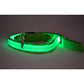 Flashing Leash Light