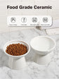 Elevated Cat Food and Water Bowls Set, Extra Wide Raised Ceramic Bowls,Whisker-Free Feeder for Cats and Small Dogs