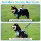 No-Pull Dog Harness Leash Collar Set, Adjustable Reflective Vest Comfortable Handle Blue Large