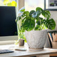 8 Inch White Ceramic Planter with Drainage Hole and Saucer for Indoor Outdoor Plants