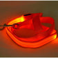Flashing Leash Light