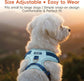 No-Pull Dog Harness Leash Collar Set, Adjustable Reflective Vest Comfortable Handle Blue Large