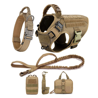 Large Dog Harness And Leash Set For Medium Large Dogs